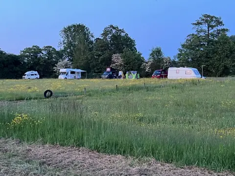 Motorhomes and tents on the meadow in evening light
