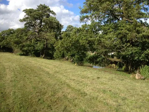 Riverside path through trees at Cropredy